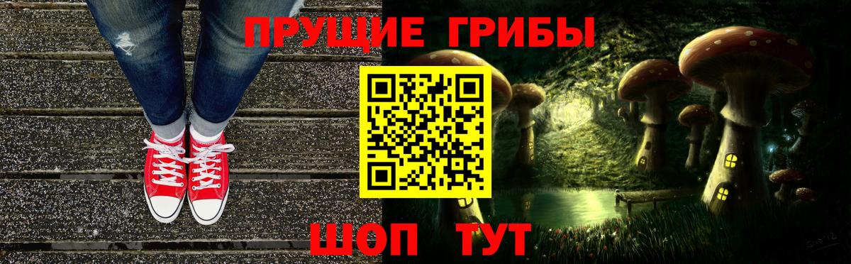 Псилоцибиновые грибы Cubensis  Вход с VPN  Учалы 